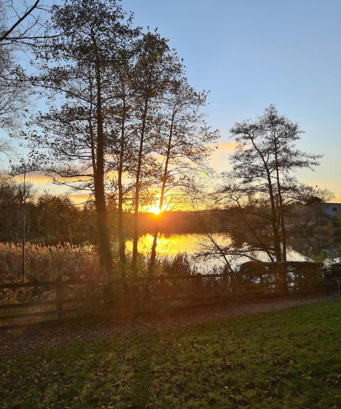 Home From Home, Close To Redditch Hospital Abb エクステリア 写真